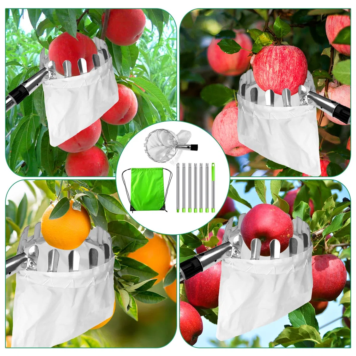 Recogedor de Frutas Telescopico, 2,4 M Recolector de Frutas, Recoge Frutas de Árboles, Recoge Frutas Telescopico Extensible, Herramienta recolectora de Frutas para Manzanas, Naranjas, Peras