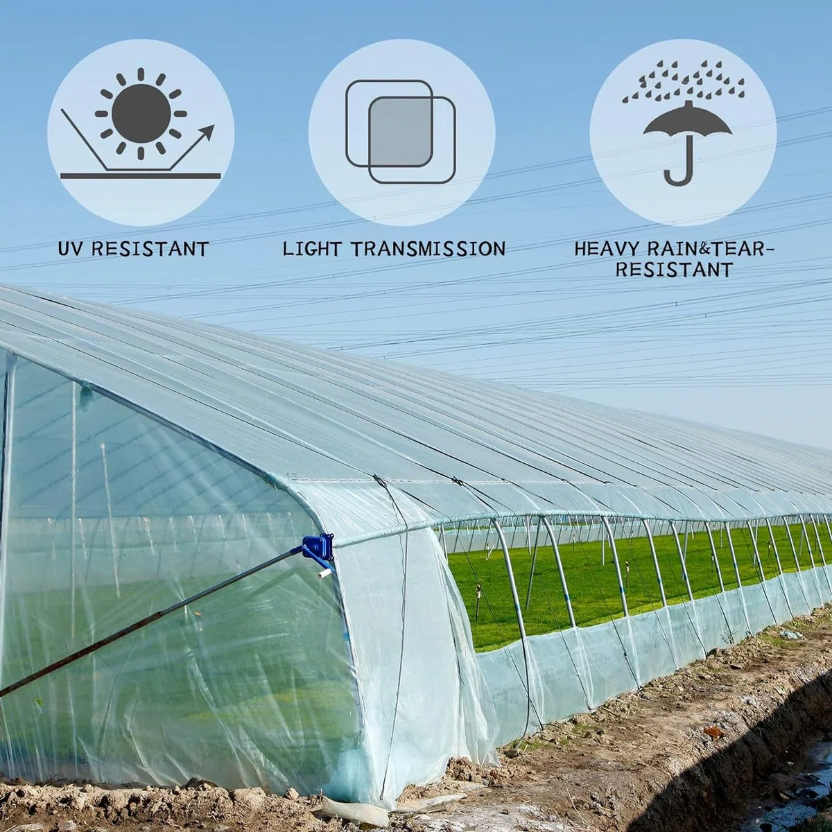 DAZZTIME 3 x 10M Plástico Invernadero Transparente,Cubierta Invernadero Plastico,Plasticos para Invernaderos,para Proyectos Industriales, Residenciales, Agricultura, Mampostería(200Mu/1000G)