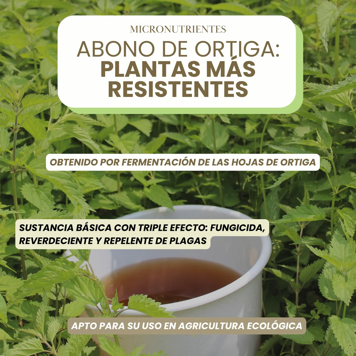 Purín de Ortiga Concentrado para Plantas 5L - Acción Fungicida, Insecticida y Acaricida - Dosis 15-30ml/L - Corrector de Carencias Hierro (Clorosis Férrica) - Control de Plagas y Hongos (5L)