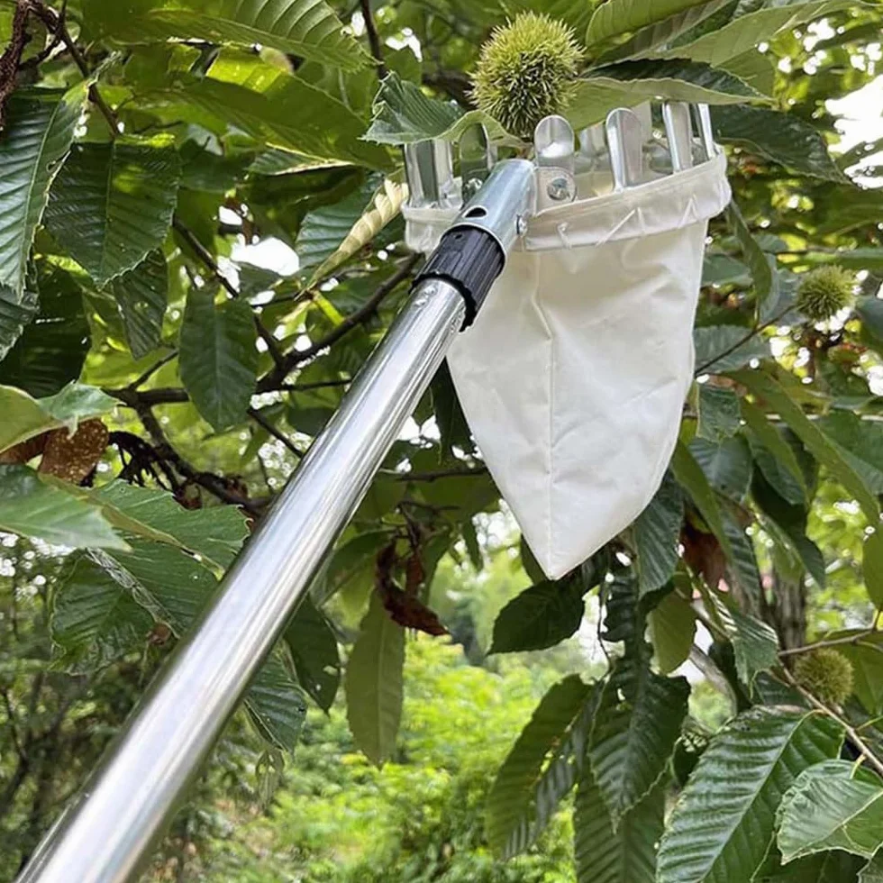 Jiahuade Recogedor de Frutas Telescopico,Cesta Recogedora de Manzanas,Recoge Frutas Altuna,Recoge Frutas,Recogedor de Frutas,Recoge Frutas Telescopico,Recoge Frutas de árboles (3.2M)