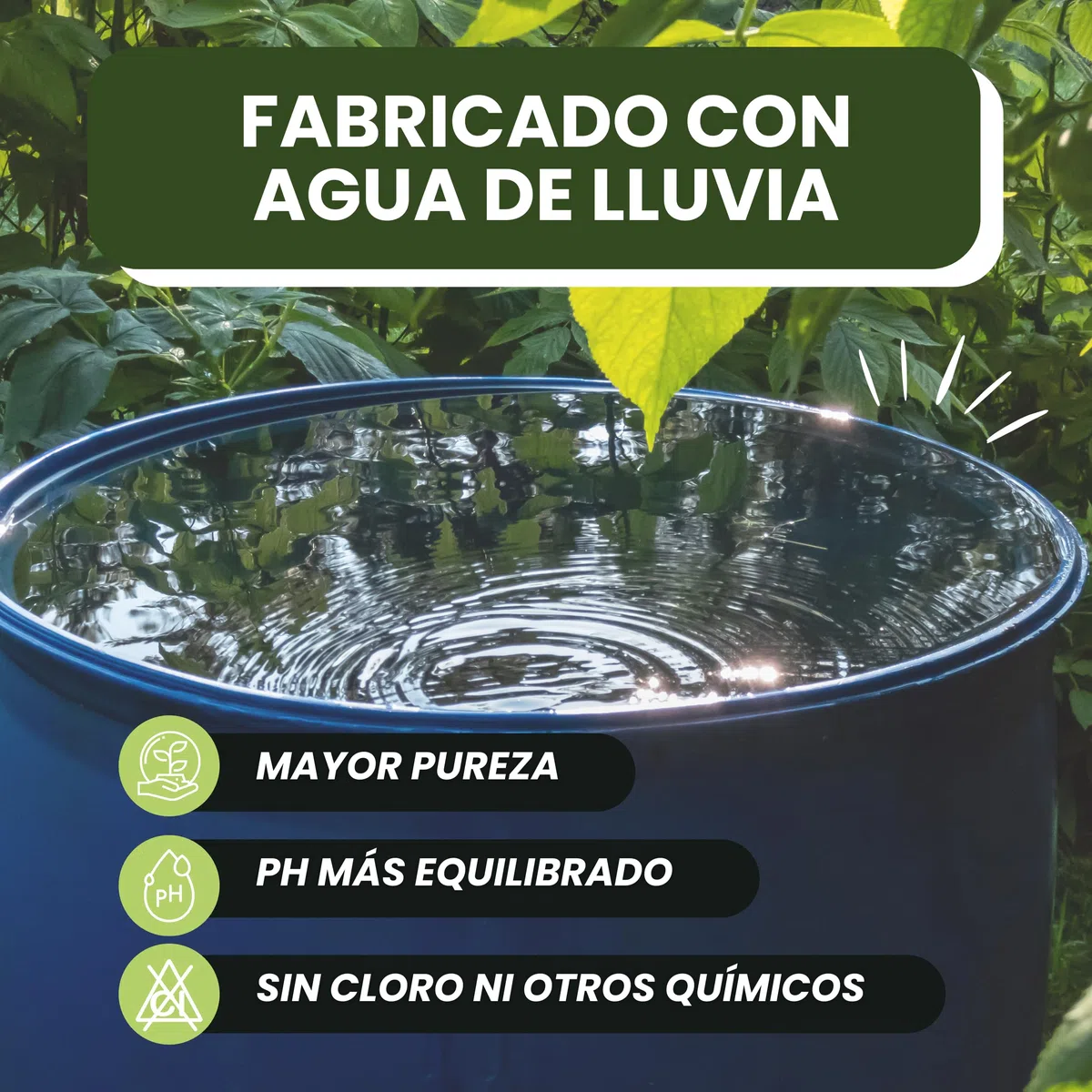 Purín de Ortiga Concentrado para Plantas 5L - Acción Fungicida, Insecticida y Acaricida - Dosis 15-30ml/L - Corrector de Carencias Hierro (Clorosis Férrica) - Control de Plagas y Hongos (5L)