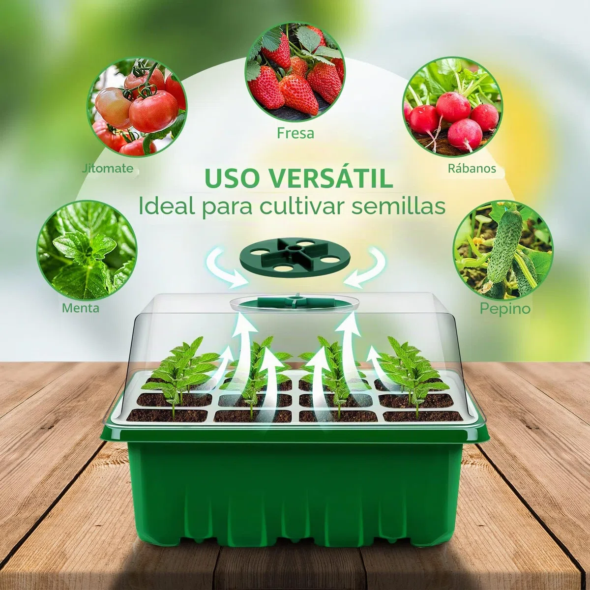 YAUNGEL Bandejas Semilleros, 6Pcs 72 Agujeros Mini Invernadero Germinador de Semillas, Bandeja de Cultivo con Tapa Ventilación y Ventana Ajustable para Plantas Desemillero, Verde