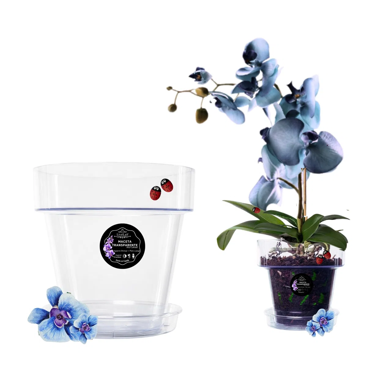 Maceta orquidea Transparente Redonda Ø17 cm + Plato | Maceta Transparente orquidea | Agujeros Drenaje, Efecto Vidrio | Maceta para orquídeas | Hecha en España-Modelos a Elegir