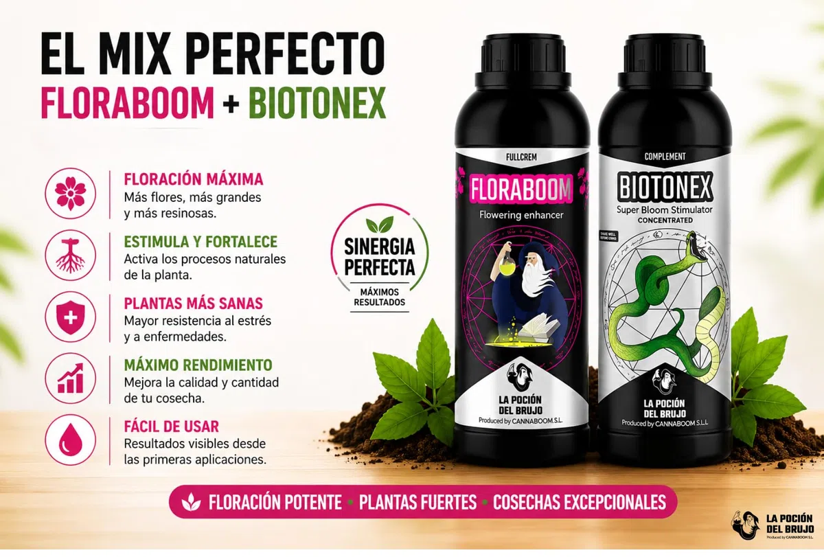 FLORABOOM FULLCREM - "Cannaboom" (1.000ml) | NPK 9% - 18% - 9% | Fósforo + Potasio | Floración Intensa | Cosechas Abundantes y Aromáticas